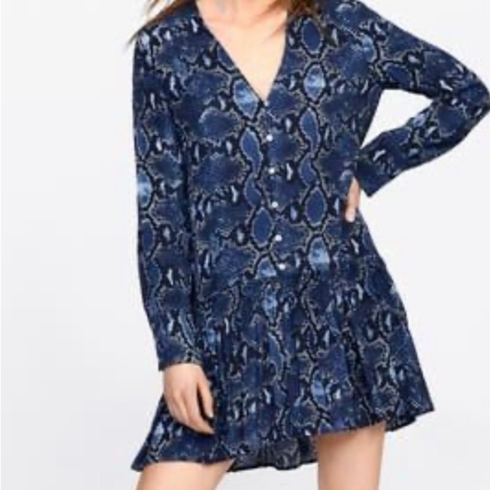 Zara Snake skin Print Drop Waist Dress